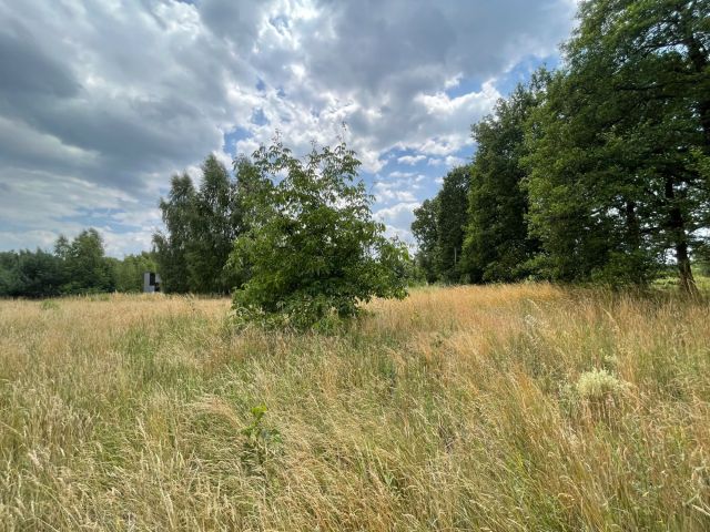 Działka budowlana Sierpów. Zdjęcie 1