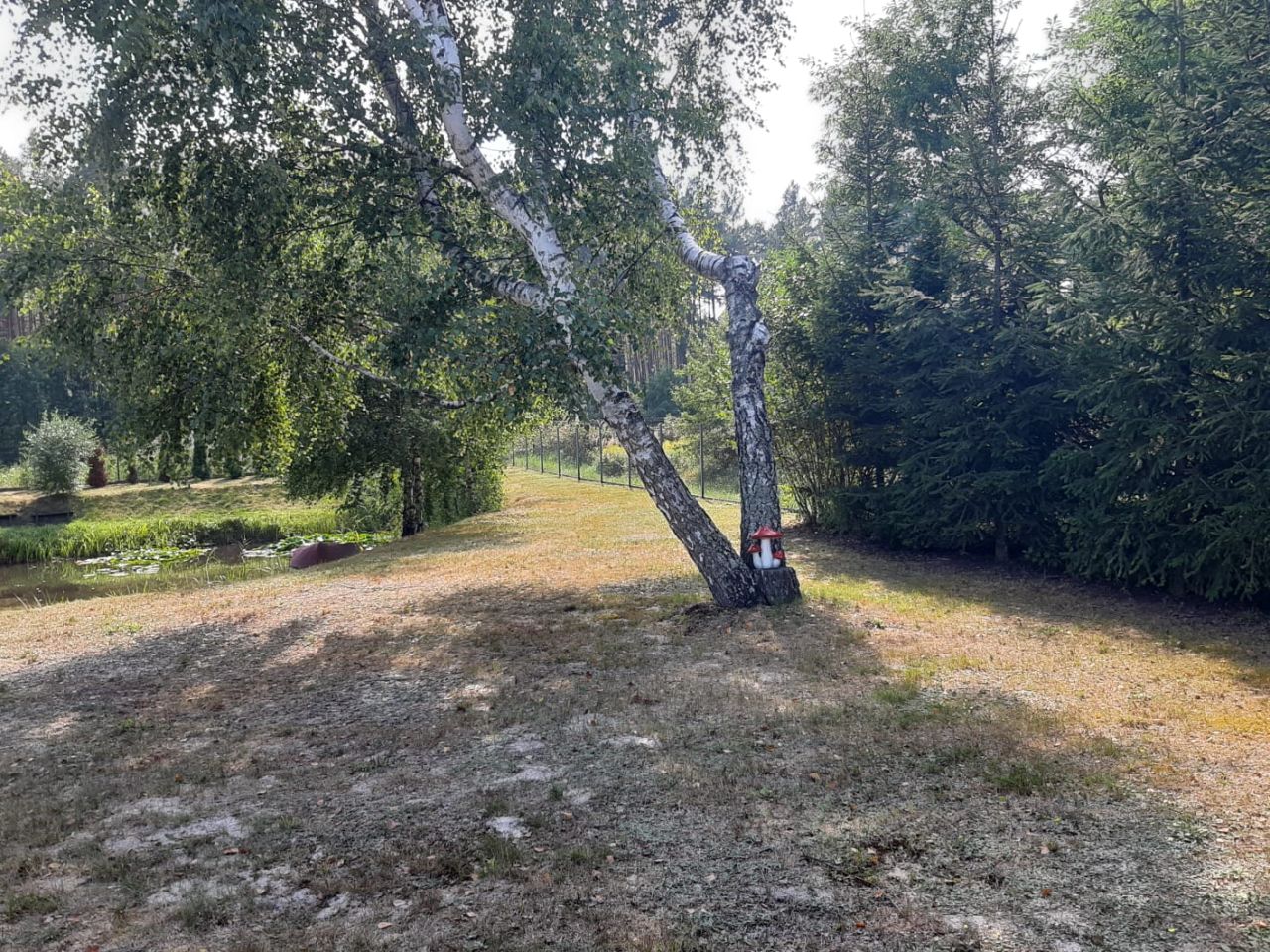 Działka budowlana Czysta. Zdjęcie 9