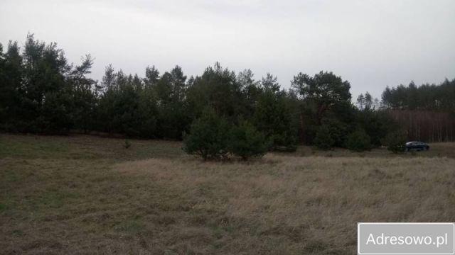 Działka rolna Józefkowo. Zdjęcie 1