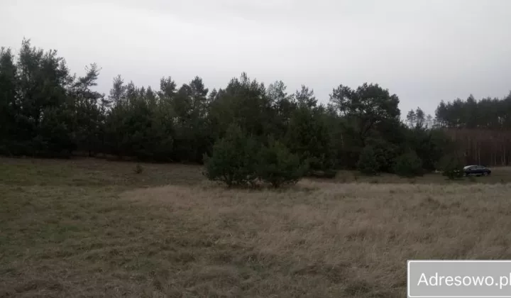 Działka rolna Józefkowo