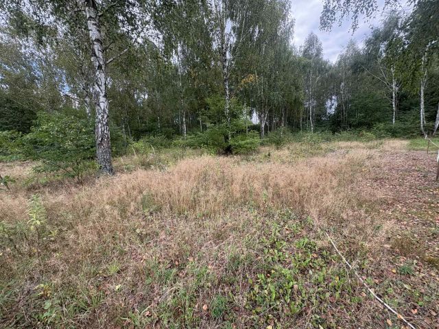 Działka budowlana Budziska. Zdjęcie 4