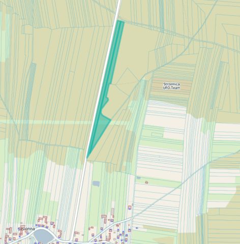 Działka leśna Jasionna. Zdjęcie 1