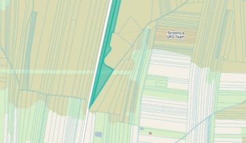 Działka leśna Jasionna