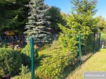 Działka rod Lublin Kalinowszczyzna, ul. Zawilcowa. Zdjęcie 1