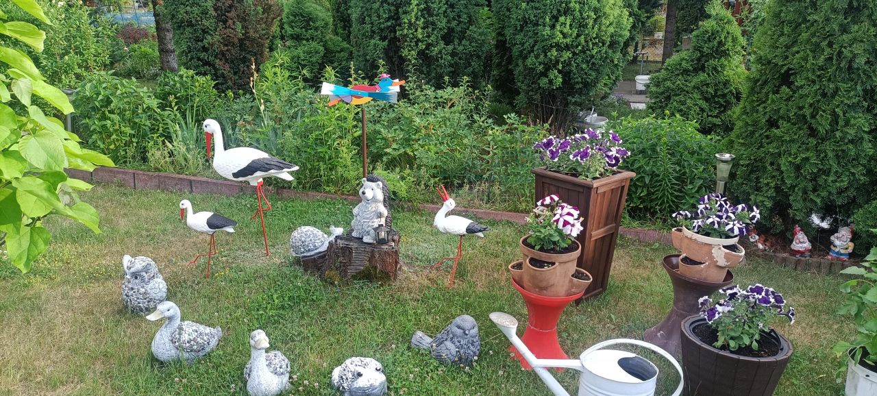 Działka rod Łódź Górna, ul. Lodowa. Zdjęcie 39