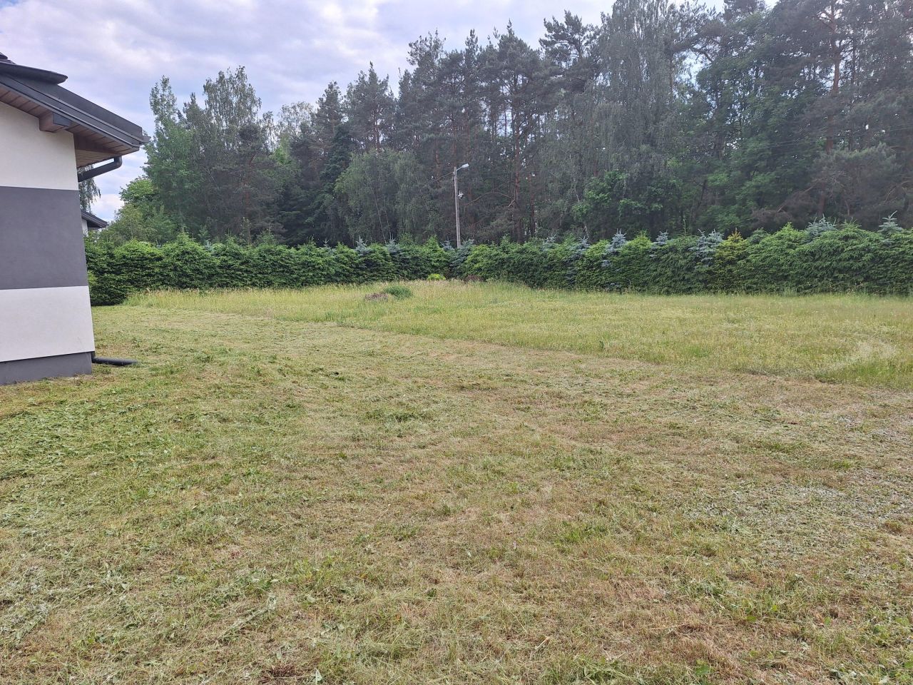 inny Twarda, ul. Karnys. Zdjęcie 5