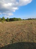 Działka rolno-budowlana Kazimierzów. Zdjęcie 2