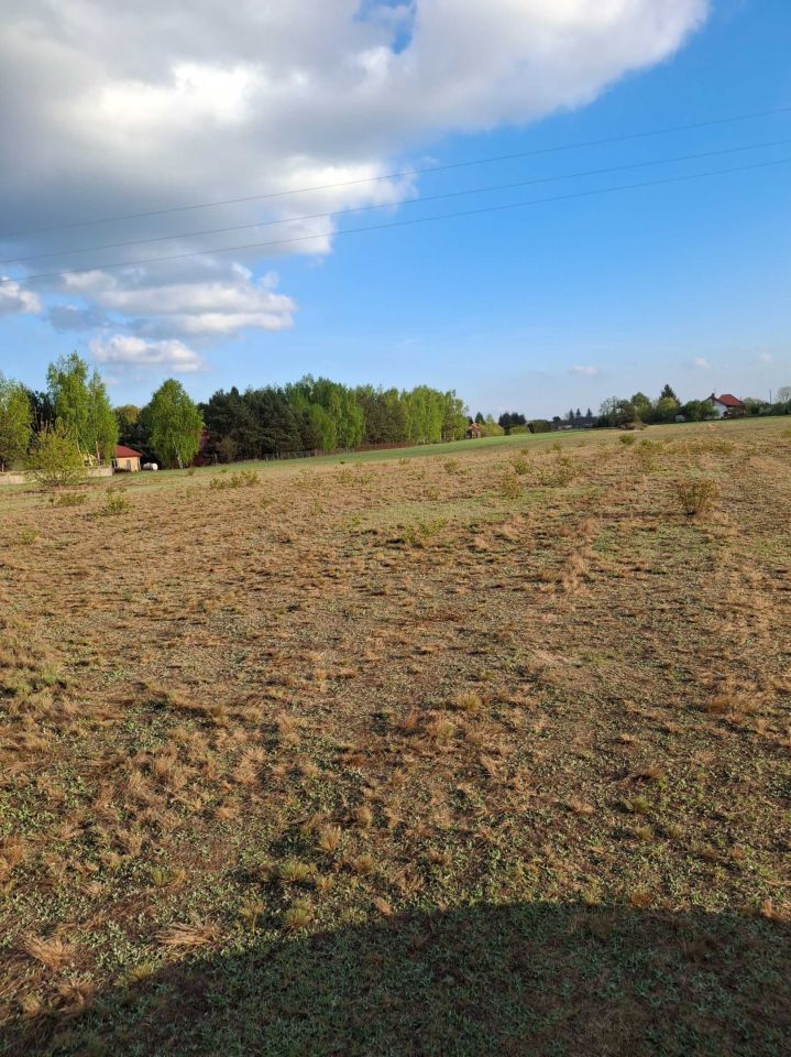 Działka rolno-budowlana Kazimierzów. Zdjęcie 3