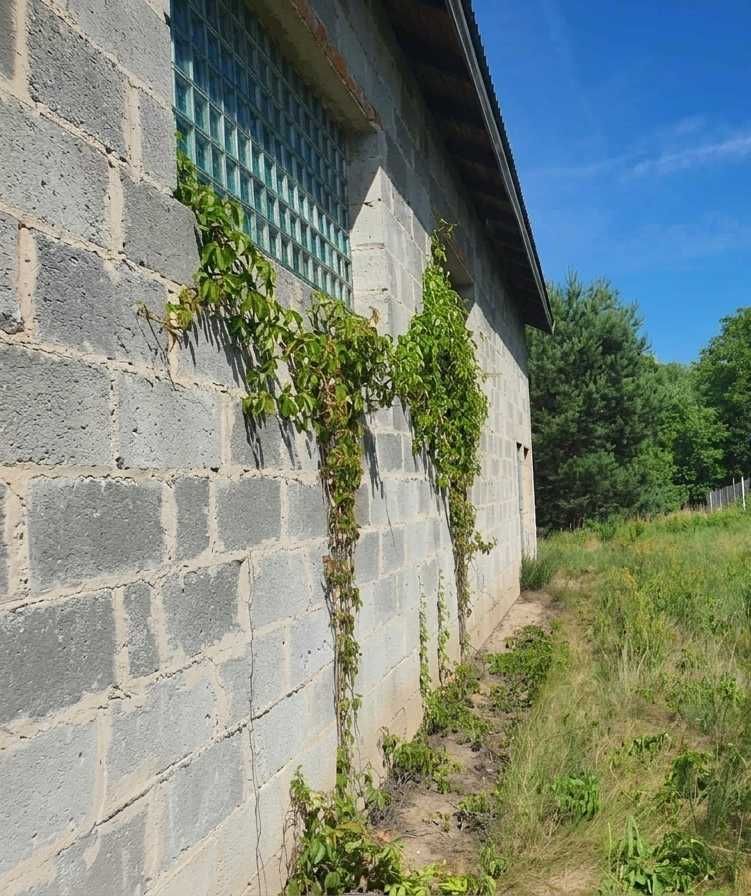 Działka budowlana Nieporęt. Zdjęcie 2