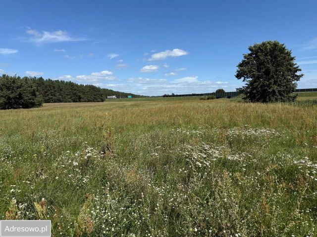 Działka inwestycyjna Szubin, ul. Powstańców Wielkopolskich. Zdjęcie 1