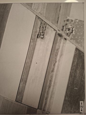 Działka rolna Mikulice. Zdjęcie 1