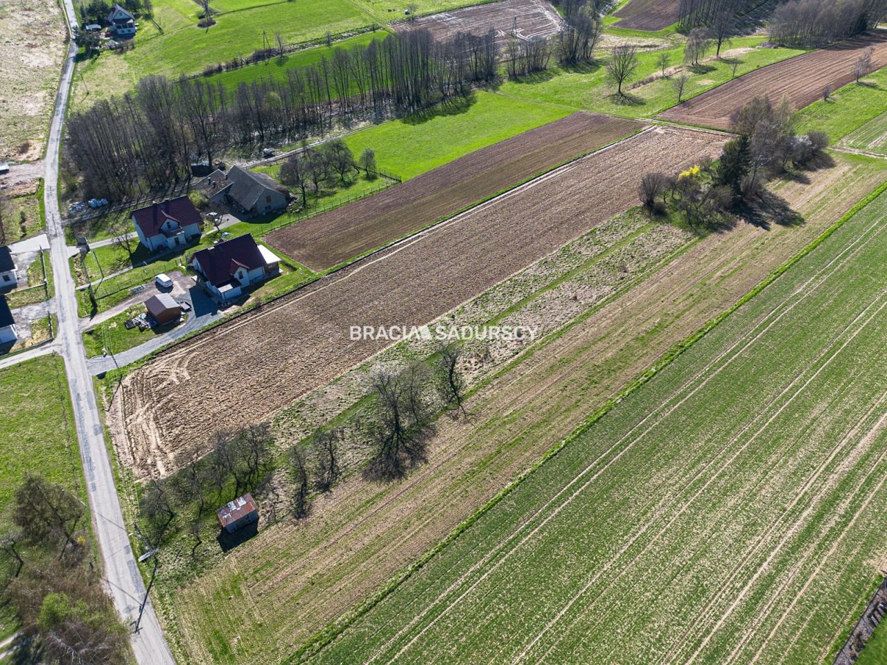 Działka rolna Sławkowice. Zdjęcie 5