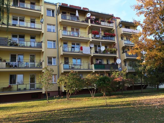 Mieszkanie 3-pokojowe Międzyrzec Podlaski, ul. Brzeska. Zdjęcie 8