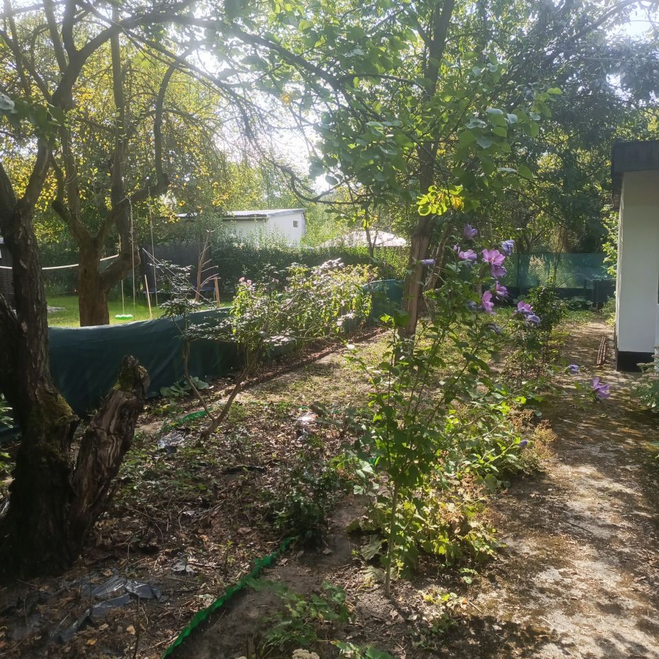 Działka rod Gliwice Ligota Zabrska, ul. Akademicka. Zdjęcie 6