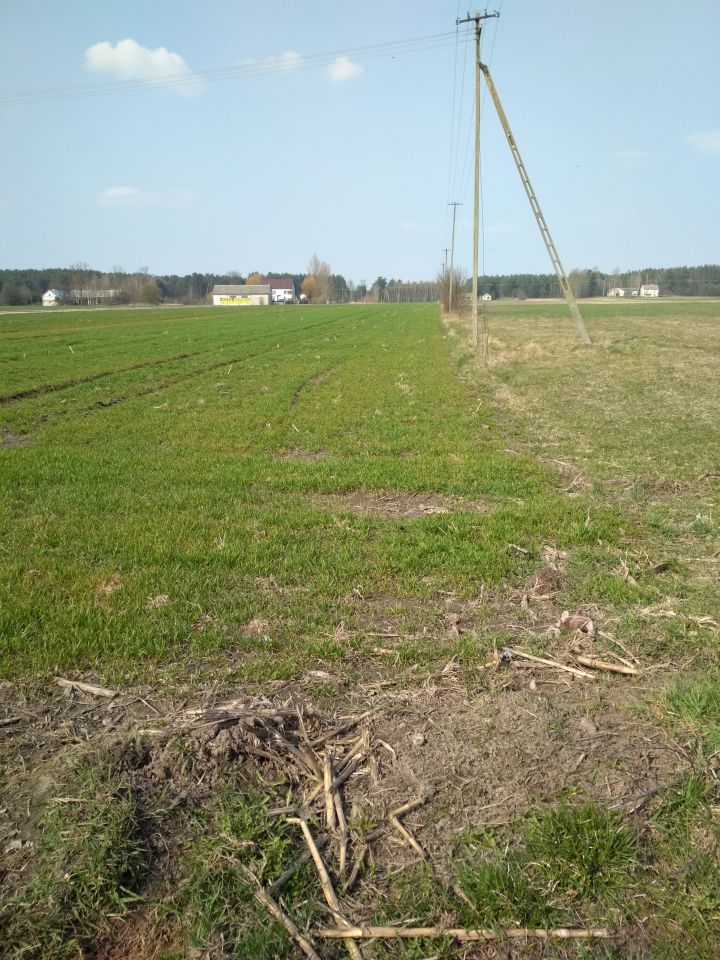 Działka budowlana Polaki. Zdjęcie 4