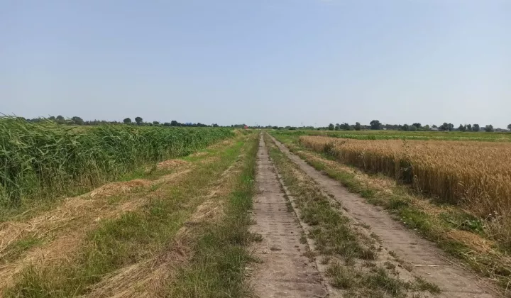 Działka siedliskowa Gdańsk Orunia, ul. Niegowo