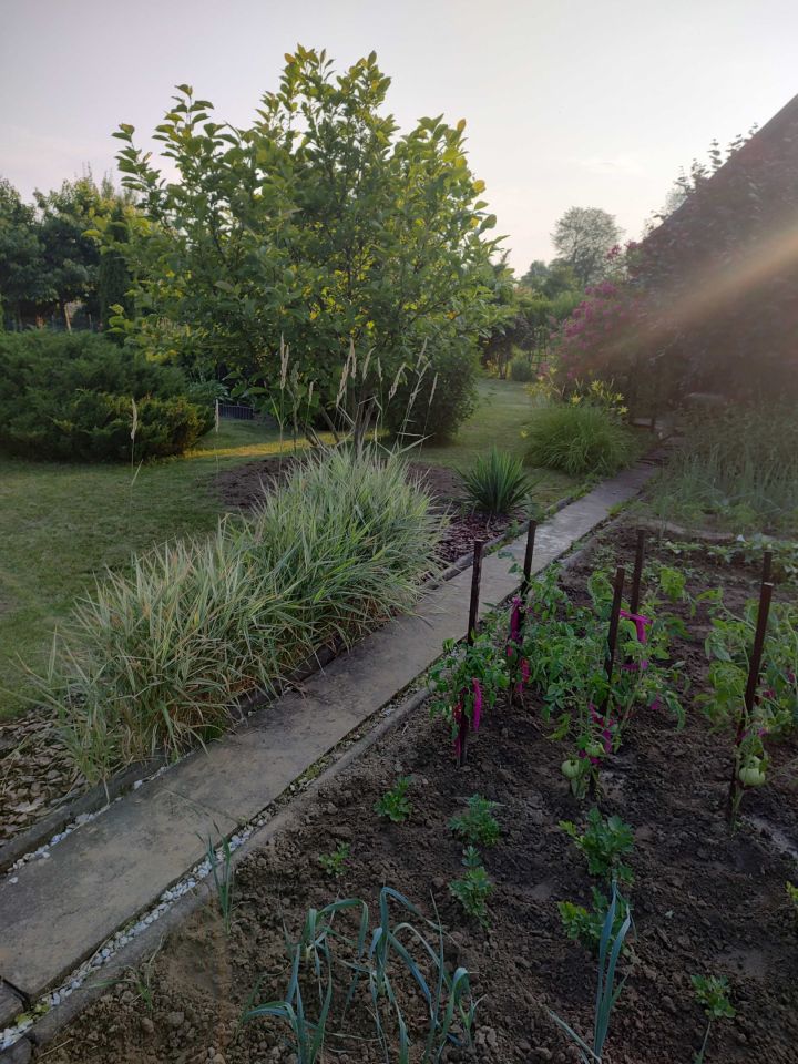 Działka rod Świdnik. Zdjęcie 5