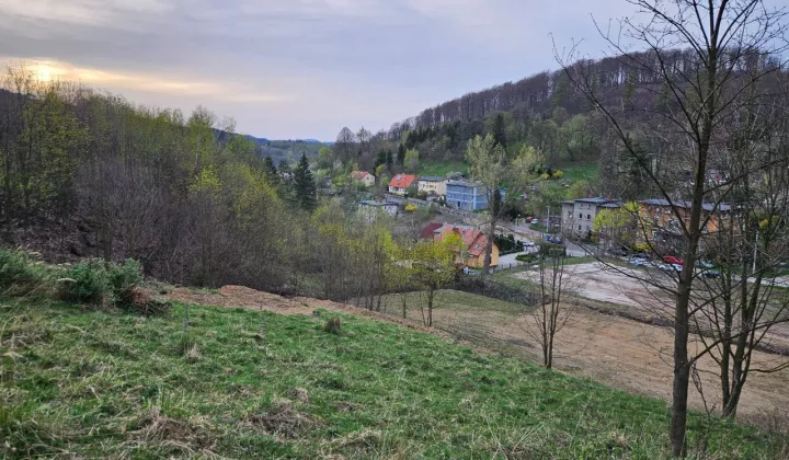 Działka rolno-budowlana Walim, ul. Tadeusza Kościuszki