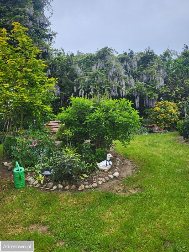 dom wolnostojący, 3 pokoje Dąbrówka Morska. Zdjęcie 15