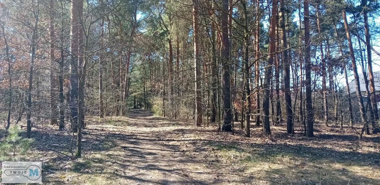 Działka leśna Morawica. Zdjęcie 3