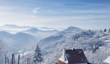 Działka rolna Szczawnica Kunie, ul. Bereśnik