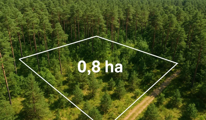 Działka leśna Ryków