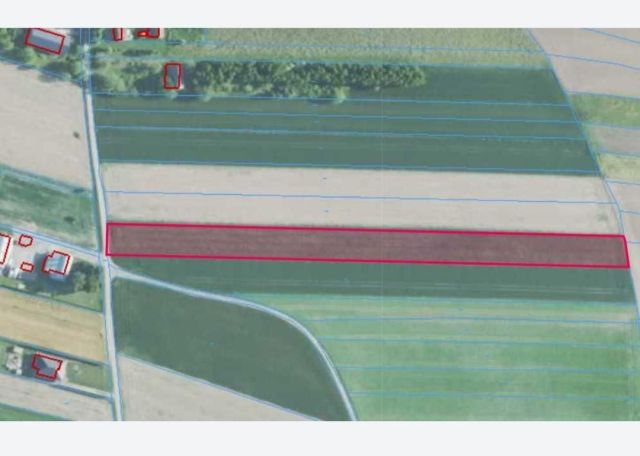 Działka rolna Dzierdziówka Pod Cegielnią. Zdjęcie 1