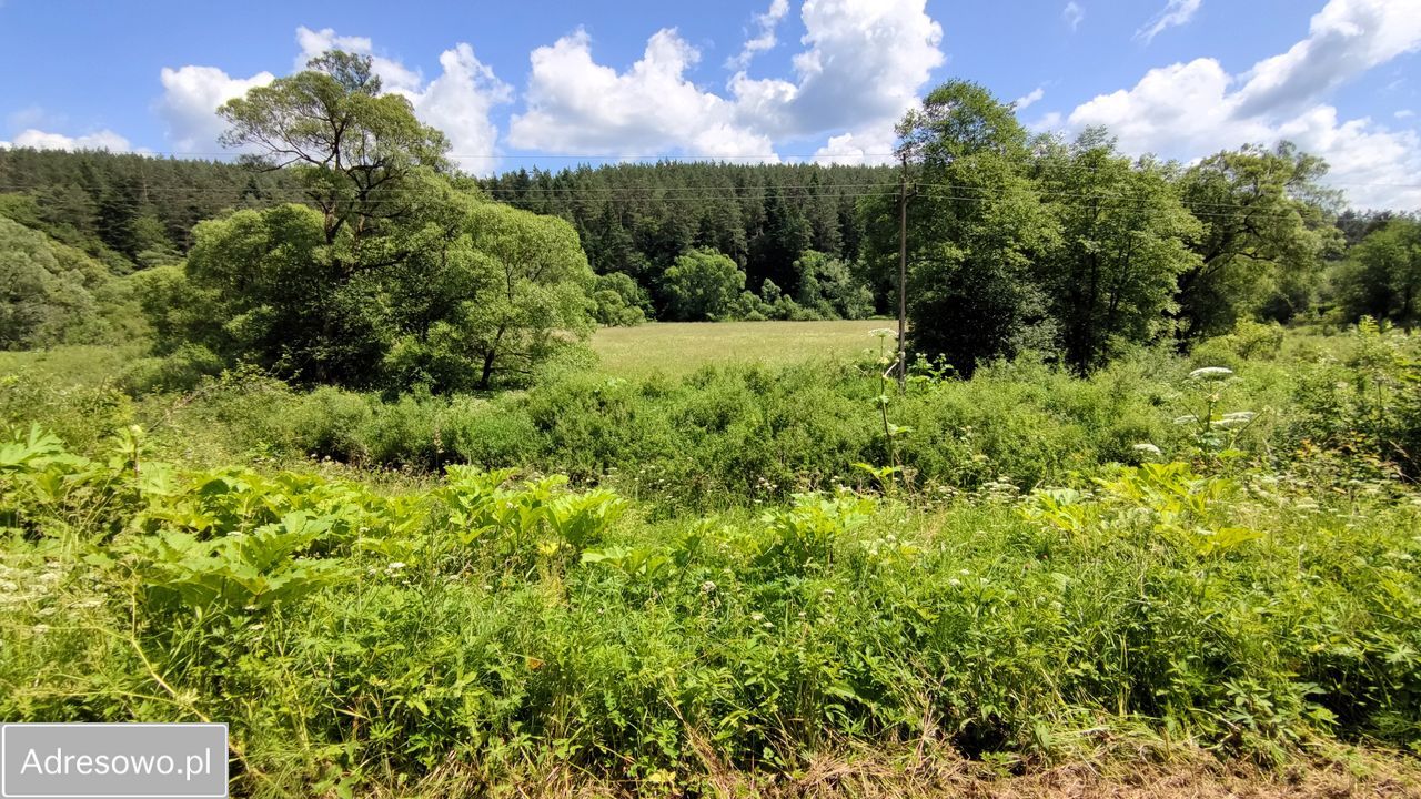 Działka rolna Trzcianiec. Zdjęcie 4
