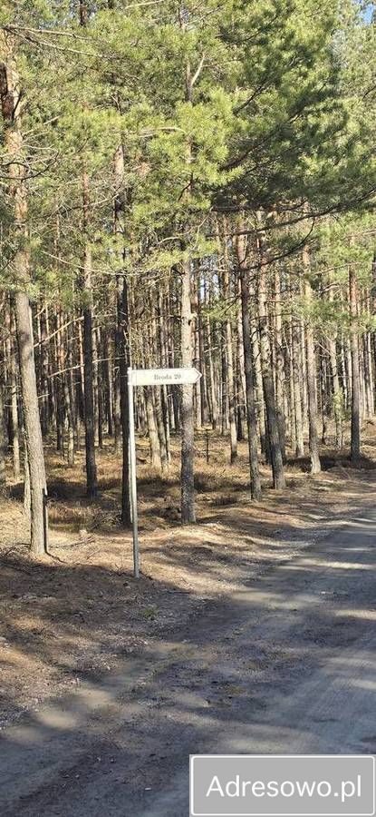 Działka leśna Huta. Zdjęcie 2