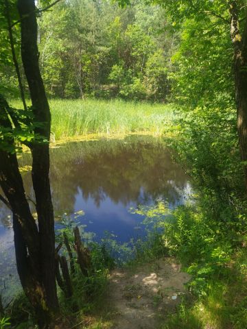 Działka budowlana Janopol. Zdjęcie 1