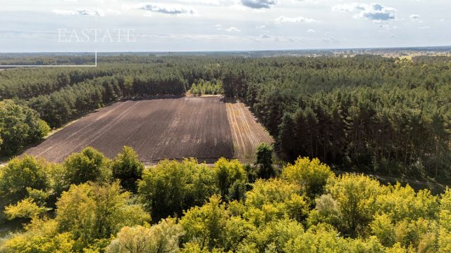 Działka leśna Maurzyce. Zdjęcie 4