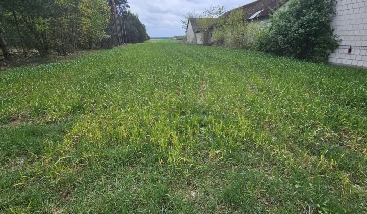 Działka rolno-budowlana Wojciechówka