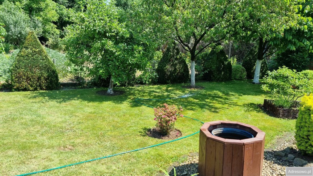 Działka rod Legnica, ul. Ogrodowa. Zdjęcie 10