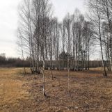 Działka budowlana Daleszyce. Zdjęcie 4