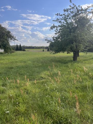 Działka budowlana Mierzyce Parcela Południowa. Zdjęcie 1