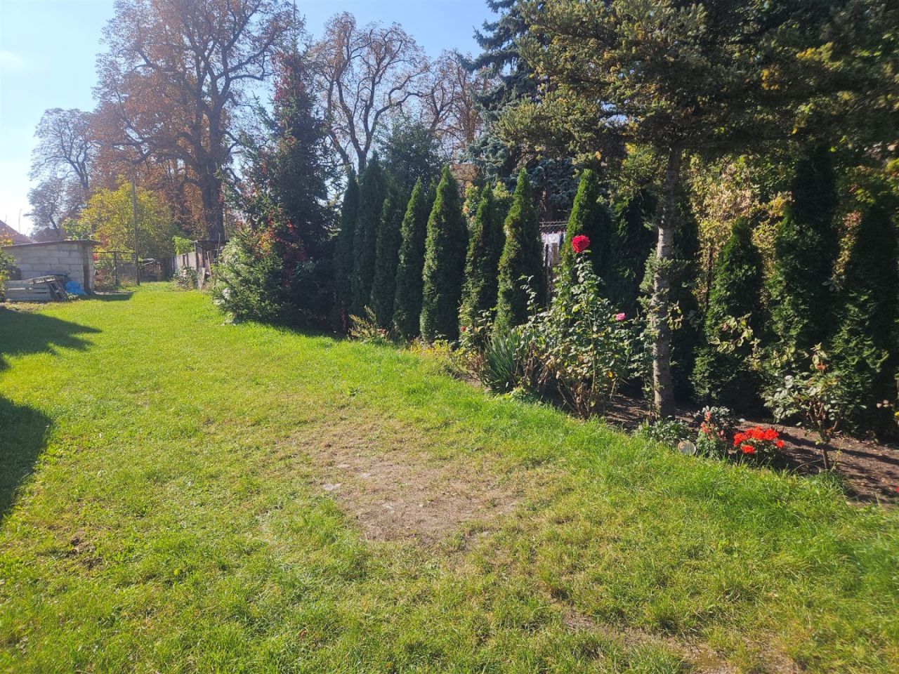 kamienica Świdnica Centrum, ul. Saperów. Zdjęcie 4