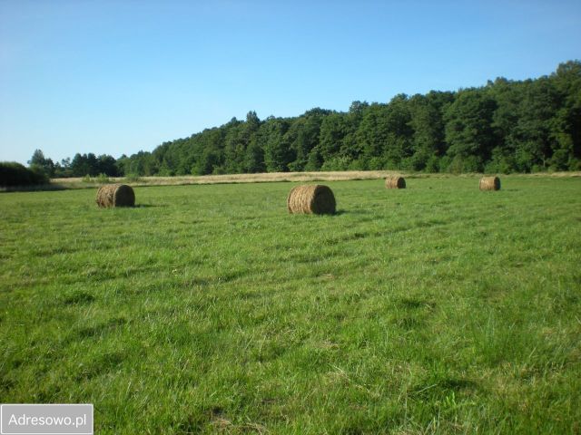 Działka rolna Janowice. Zdjęcie 1