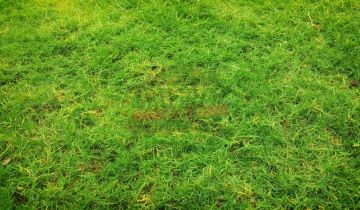 Działka budowlana Turawa