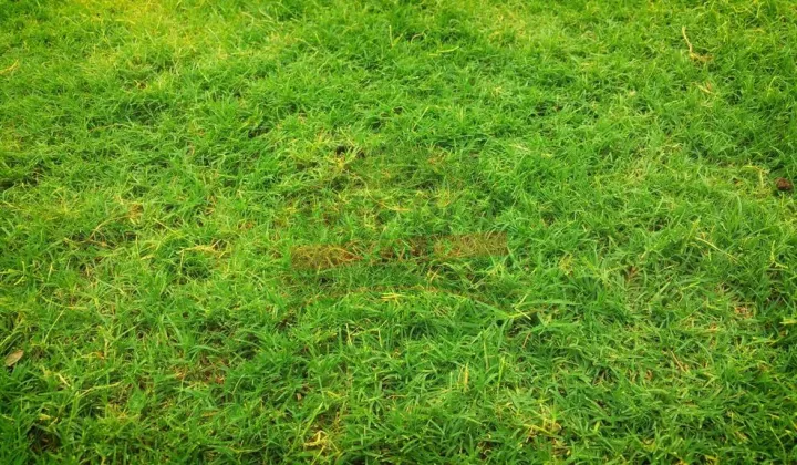 Działka budowlana Turawa