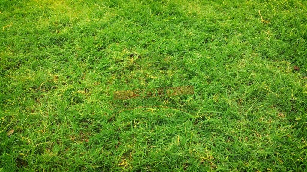 Działka budowlana Turawa