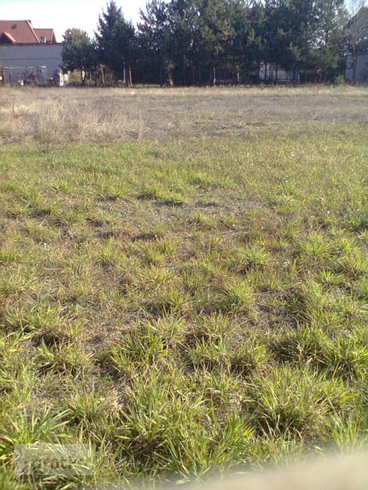 Działka budowlana Dręszew, ul. Nadbużańska. Zdjęcie 4