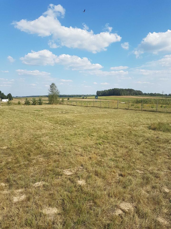 Działka budowlana Nowe Krzewo. Zdjęcie 7