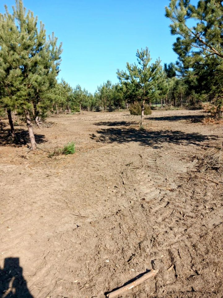 Działka rolno-budowlana Gucin. Zdjęcie 11