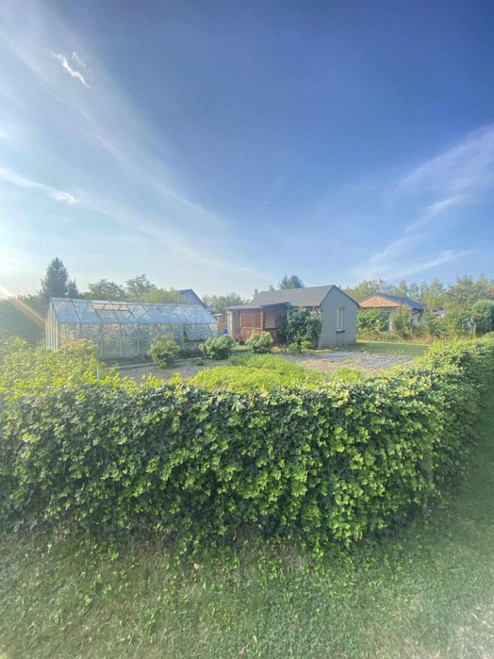 Działka rod Zelów. Zdjęcie 4