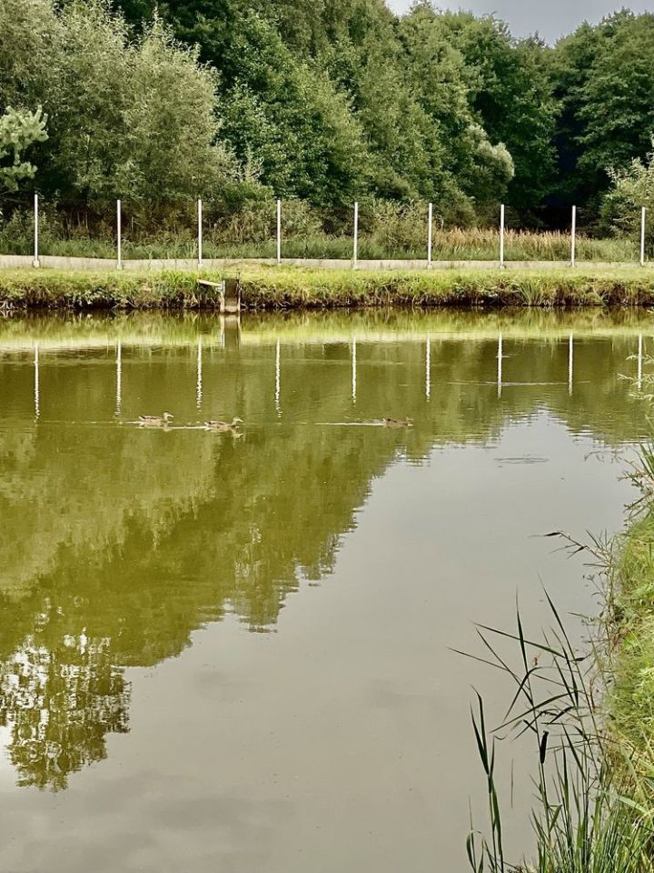 dom letniskowy Gliniana Góra. Zdjęcie 2