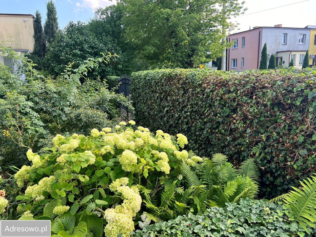 dom wolnostojący, 4 pokoje Ostrowiec Świętokrzyski Centrum, ul. Jana Matejki. Zdjęcie 6