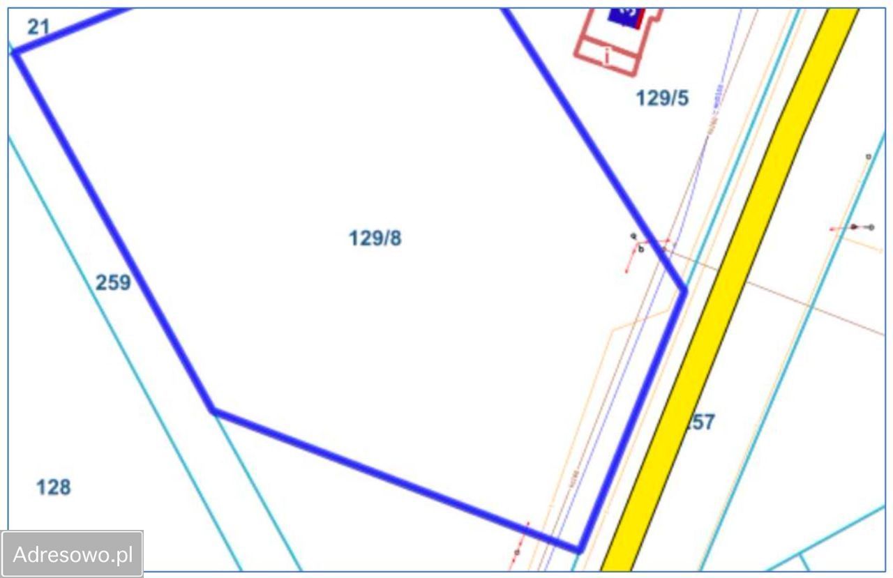 Działka inwestycyjna Silnowo. Zdjęcie 9