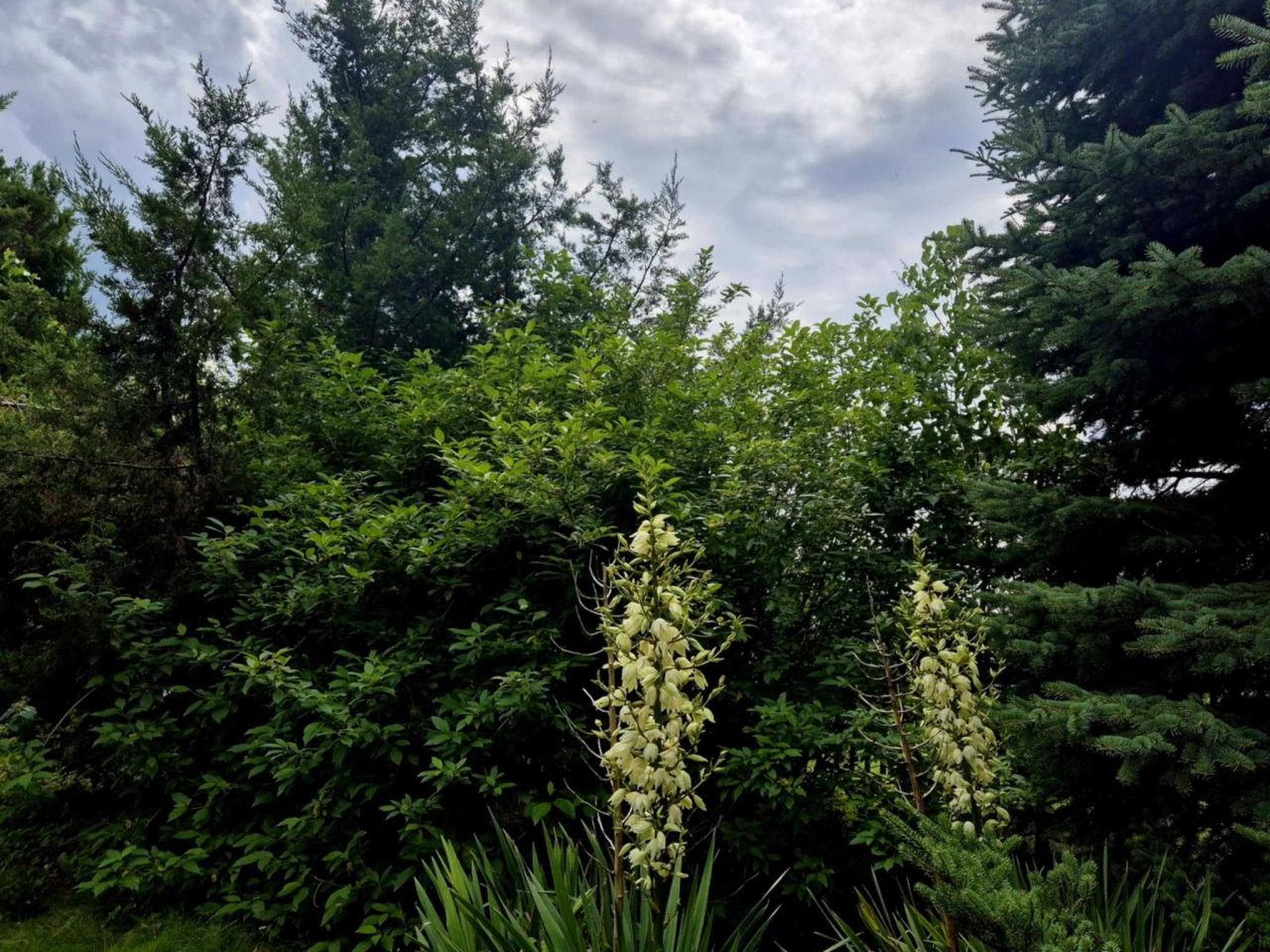 Działka budowlana Nowy Krępiec, ul. Kwiatowa. Zdjęcie 4