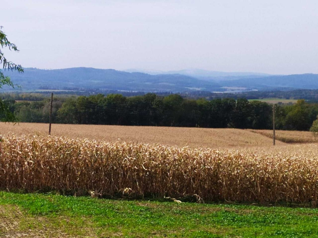 Działka budowlana Sławoszów. Zdjęcie 6