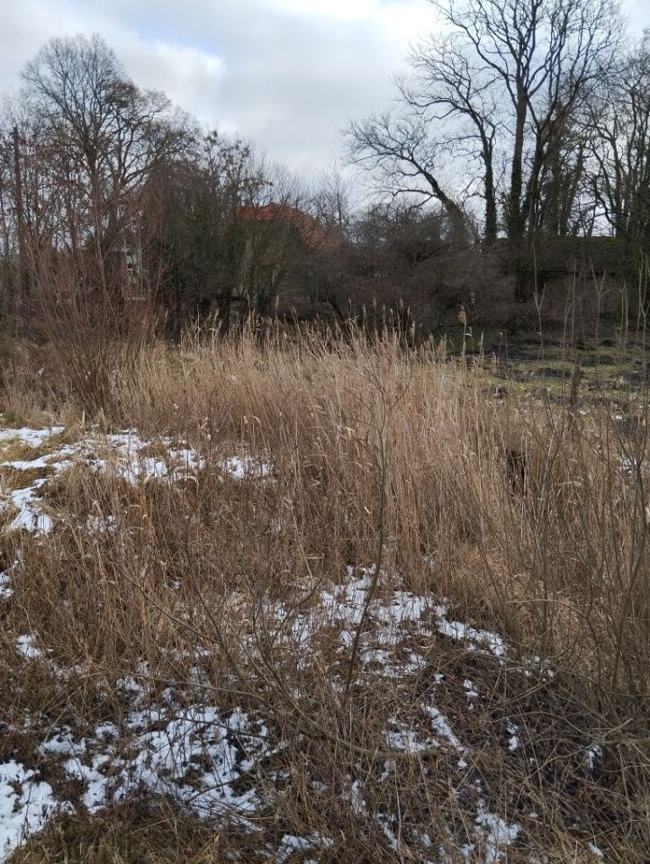 Działka rolno-budowlana Mostkowo. Zdjęcie 7